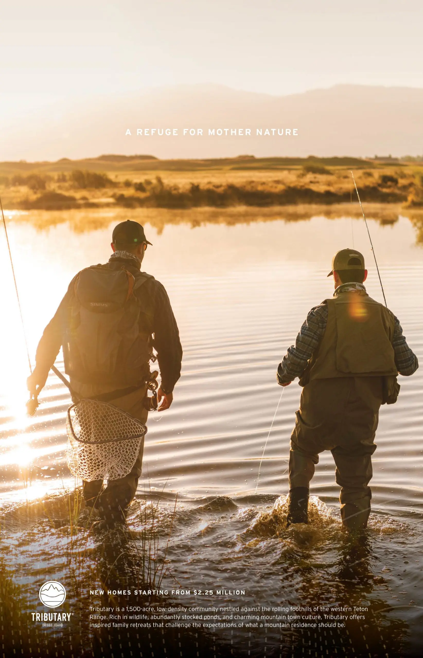 TRI0138_Ad Campaign_N&G_V2.indd